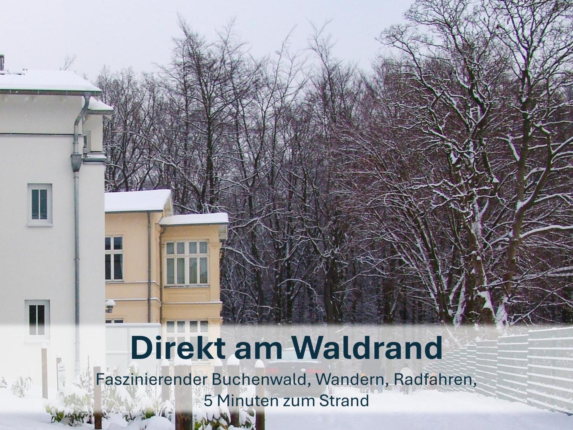 Zinnowitz, Paradies Am Wald - Wg 05 Экстерьер фото